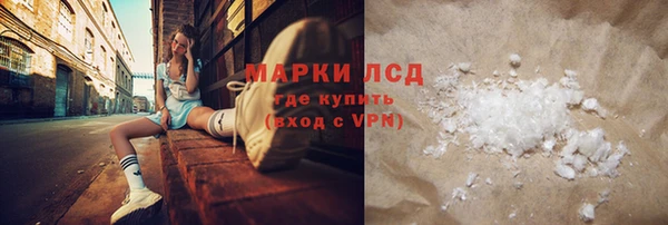 сатива Верея