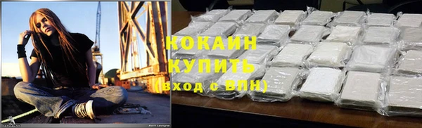 сатива Верея
