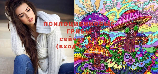 сатива Верея