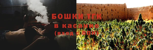 сатива Верея