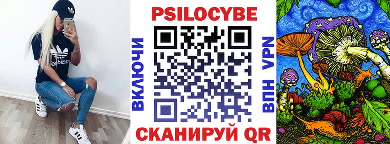 гидра зеркало Казань Псилоцибиновые грибы GOLDEN TEACHER сколько стоит